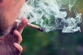 Cannabis Joint Cannabis Joint