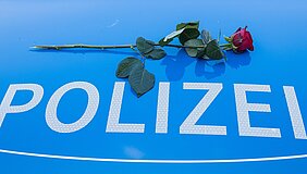 Polizei, Rose auf der Motorhaube
