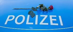 Polizei, Rose auf der Motorhaube