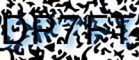 grafischer Sicherheitscode