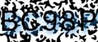 grafischer Sicherheitscode
