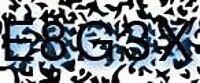 grafischer Sicherheitscode