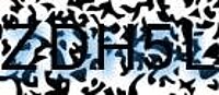 grafischer Sicherheitscode