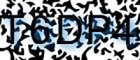 grafischer Sicherheitscode