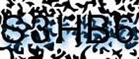 grafischer Sicherheitscode