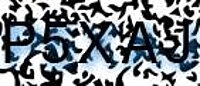 grafischer Sicherheitscode
