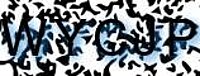 grafischer Sicherheitscode