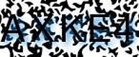 grafischer Sicherheitscode