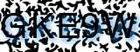 grafischer Sicherheitscode