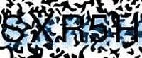 grafischer Sicherheitscode