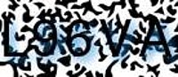 grafischer Sicherheitscode