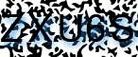 grafischer Sicherheitscode