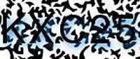 grafischer Sicherheitscode