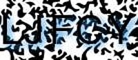 grafischer Sicherheitscode