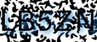 grafischer Sicherheitscode