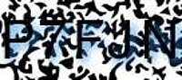grafischer Sicherheitscode