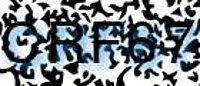 grafischer Sicherheitscode