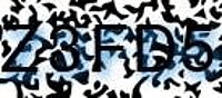 grafischer Sicherheitscode