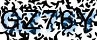 grafischer Sicherheitscode