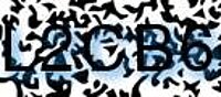 grafischer Sicherheitscode