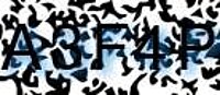 grafischer Sicherheitscode