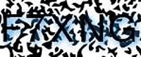 grafischer Sicherheitscode