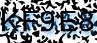 grafischer Sicherheitscode
