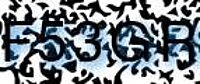 grafischer Sicherheitscode