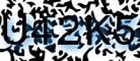 grafischer Sicherheitscode