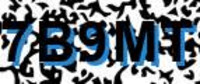 grafischer Sicherheitscode