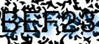grafischer Sicherheitscode