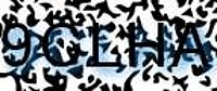 grafischer Sicherheitscode