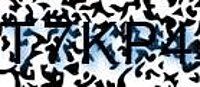 grafischer Sicherheitscode