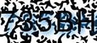 grafischer Sicherheitscode