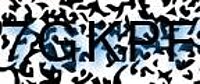 grafischer Sicherheitscode