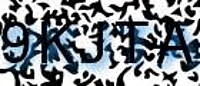 grafischer Sicherheitscode