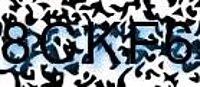grafischer Sicherheitscode