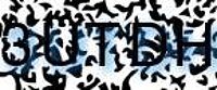 grafischer Sicherheitscode